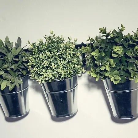 La Terrazza Sul Centro