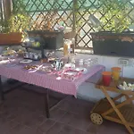 中心露台旅馆 4*